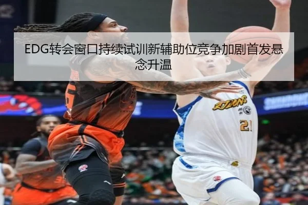 EDG转会窗口持续试训新辅助位竞争加剧首发悬念升温
